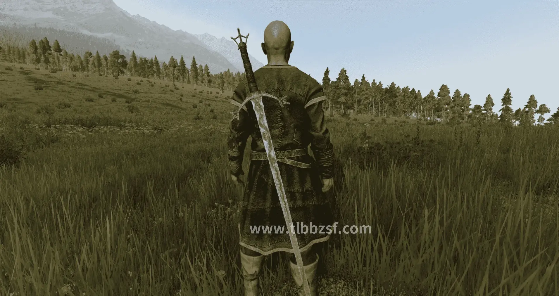 老玩家分享游戏经验