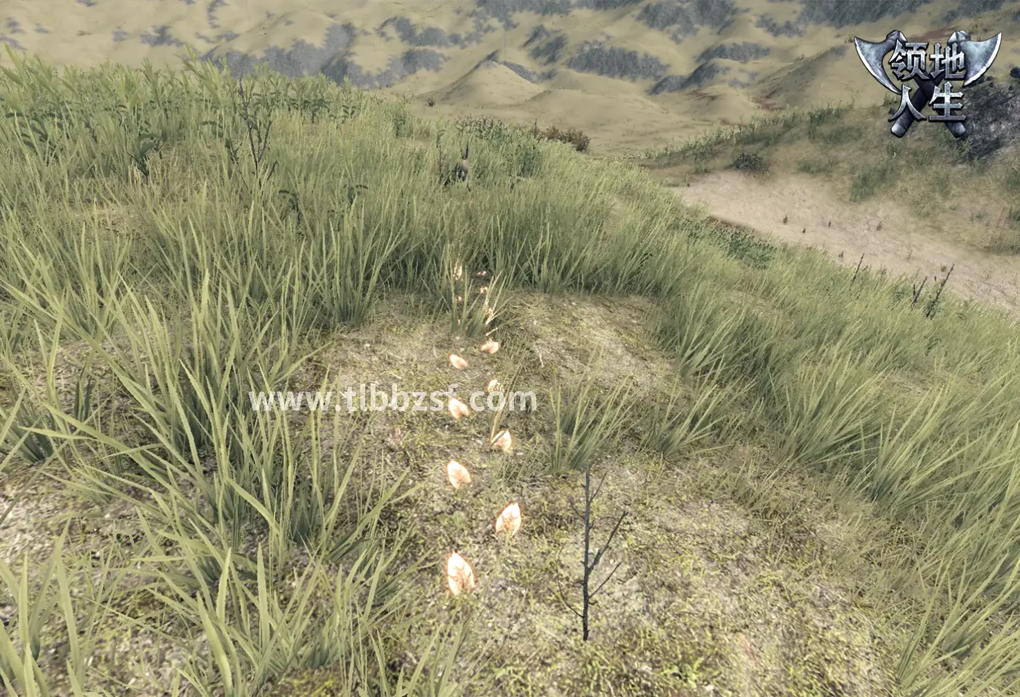 天龙八部私服游戏截图